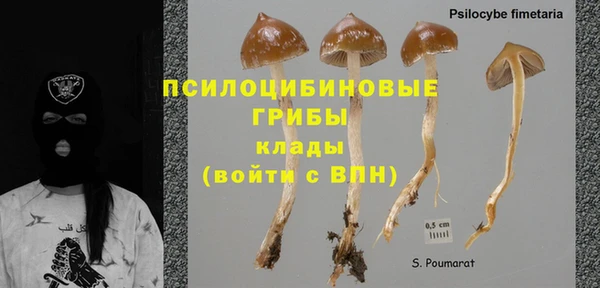 дживик Алзамай