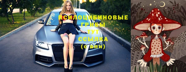 СК Покров