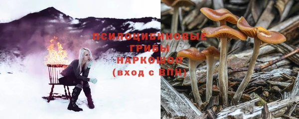 молекула духа Армянск