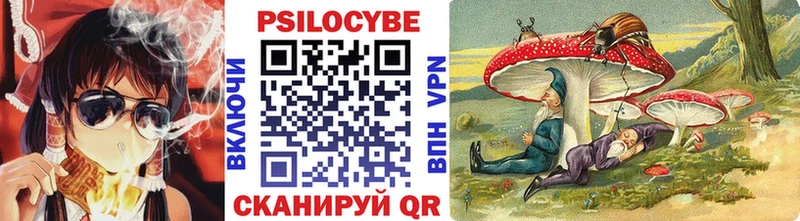 Псилоцибиновые грибы Cubensis  купить закладку  Нея 